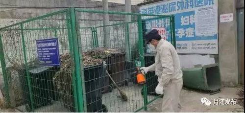 一河一策 保颜值 河道养护出实招